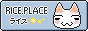 web button